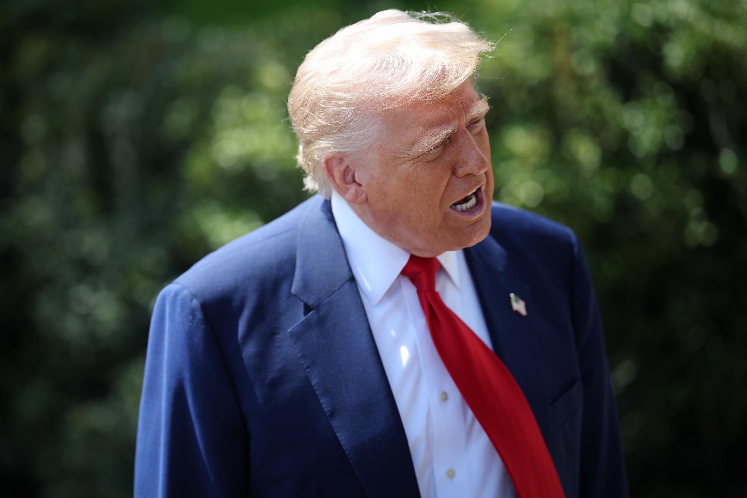 Donald Trump speaks to members of the media on the South Lawn of the White House on April 29, 2025 | Source: Getty Images